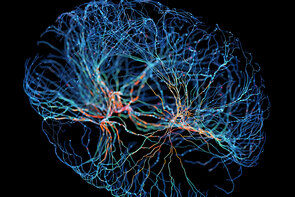 Nature Index 2025: The world’s top 10 institutions for neuroscience research