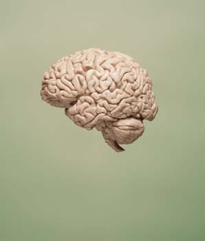 Link found between Alzheimer’s risk genes