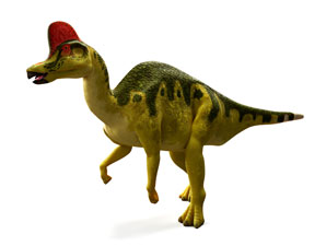 A rite of (nasal) passage for evolution