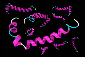 Protein implicated in Alzheimer’s grows two ways