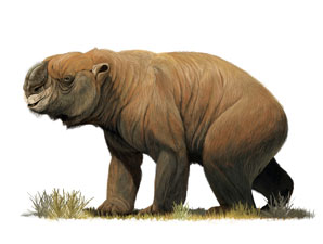First Australians ate giant beasts