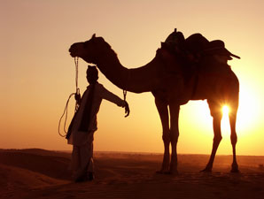 Wake up and smell the camel pee for clues on sleeping sickness