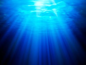 Deep-sea bacterium harbours an inward proton pump