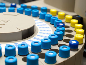 Synthesizing a standard for the human proteome