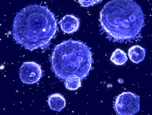 Odd blood cells implicated in fibrosis