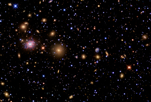 A calm oasis in a galaxy cluster far, far away