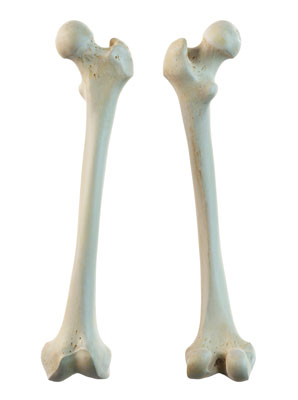 Protecting bones from prostate cancer