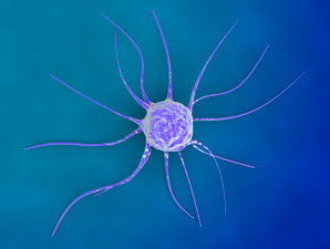 Uncovering cancer’s deceptive trick