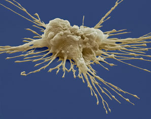 Making the most of mutation