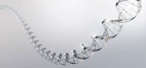 Directly detecting DNA with graphdiyne