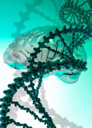 The ‘Goldilocks’ genes that need to be just right