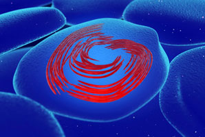 Plasma jets breathe life into cells