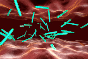 Lung bacteria increase TB risk in HIV patients