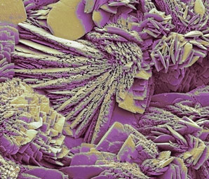 Calcite crystal modelling at the small scale