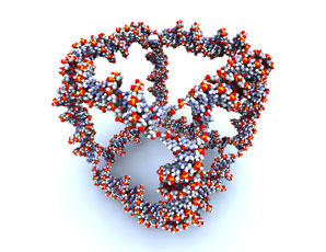 Proteins help DNA get into shape