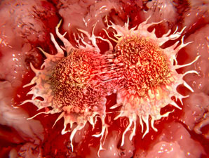 Anticancer chemical caught in the act