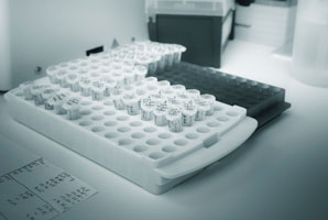 The hidden functions of RNA