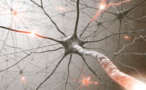Molecular origins of ALS