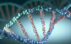 Another twist on DNA origami