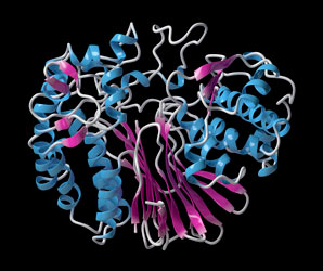 Soft coating improves enzyme productivity