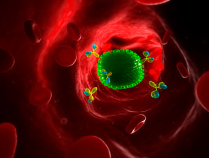 Circular secrets of the immune response