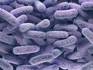 A rapid test for resistance to last-resort antibiotics