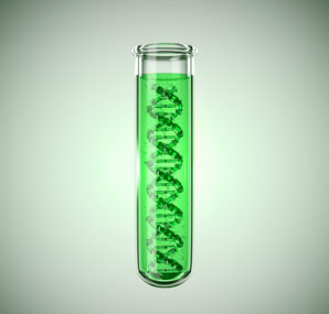 DNA body armour
