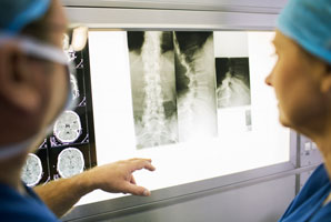 Injured spinal cords may not be scarred for life