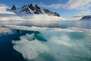 Going with the Arctic flow