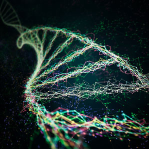 And… cut! Gene-editing tool recorded in action