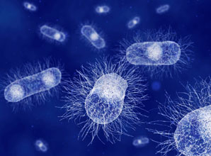 The shape of things to come in drug design