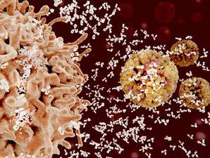 Switching tracks in immunity