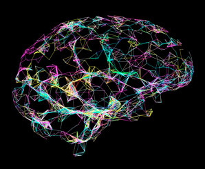 Protein prevents slow cell death in brain disorder