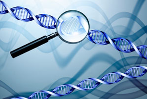Watching the machines that make DNA