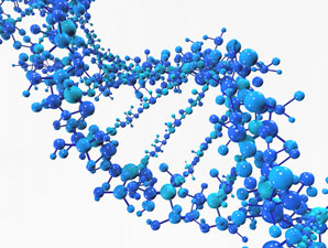 Self-assembly of gigantic ‘LEGO’ DNA
