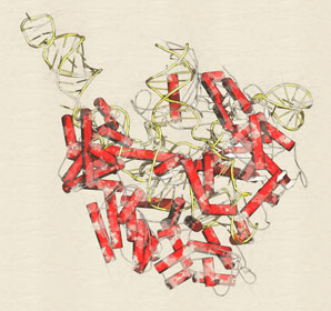 Enzyme prevents CRISPR making a clean cut