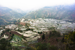 5,000 year-old water engineering structure discovered in China