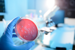 New biochip promises faster, cheaper disease detection