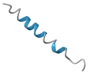 How receptors take shape