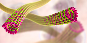 DNA drives swarming behaviour in nanobots