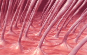 Scanning cell surfaces using ion currents and fluorescence