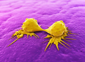 Looking for treatment clues in cancer’s web of mutation