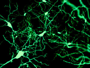 The brighter side of encapsulation