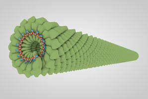 Crystal lattices go viral
