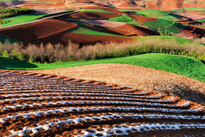 China started small for huge farm yields