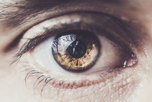 A look at how we see
