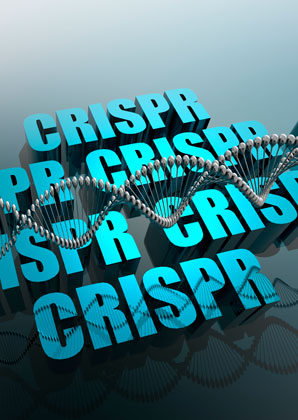 Fending off immune attacks to CRISPR