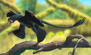 Shedding light on dinosaur dandruff
