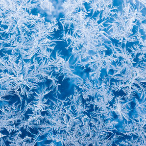 An icy grip on tissue engineering
