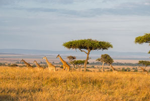 Climate-conflict studies stigmatise Sub-Saharan Africa